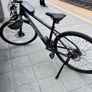 2021 Trek Dual Sport 1 Blue