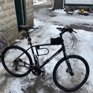 2021 Trek Verve 2 Silver, gray or bare metal