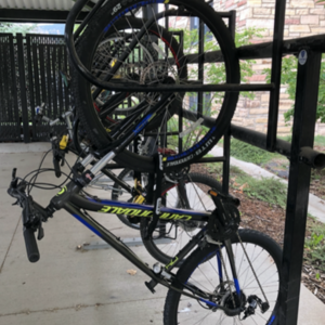Cannondale Trail 5 Blue, Black, and Yellow or Gold