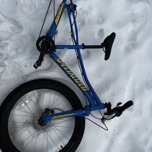 2017 Specialized Blue and Yellow or Gold