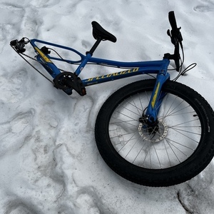 2017 Specialized Blue and Yellow or Gold