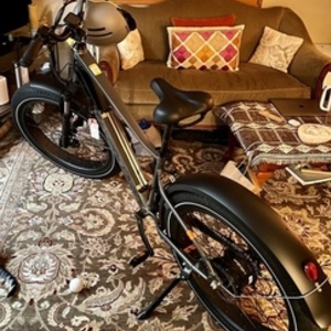 2022 Rad Power Bikes RadRover 6 Plus Silver, gray or bare metal
