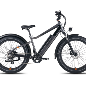 2022 Rad Power Bikes RadRover 6 Plus Silver, gray or bare metal