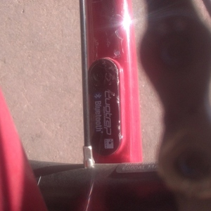 Trek Red