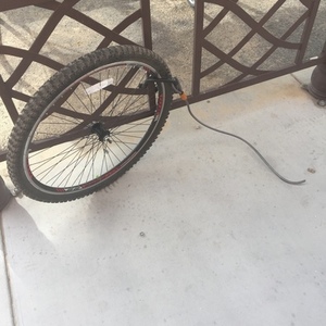 2016 Genesis Men's 29" 52902 Red