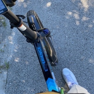 Lectric eBikes Lectric Black and Blue
