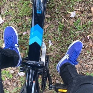 Lectric eBikes Lectric Black and Blue