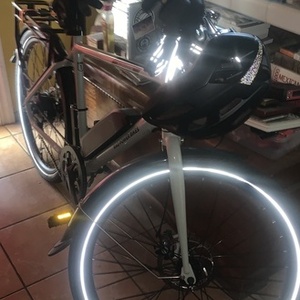 2022 Rad Power Bikes Radmission Silver, gray or bare metal