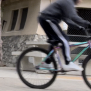 Elite Bmx Outlaw 26” Blue, Green, and Purple