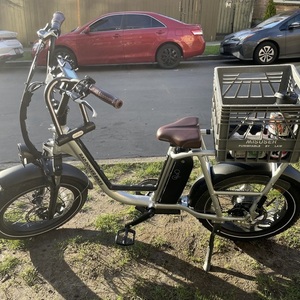 2022 Rad Power Bikes RadRunner Plus Silver, gray or bare metal