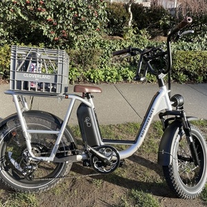 2022 Rad Power Bikes RadRunner Plus Silver, gray or bare metal