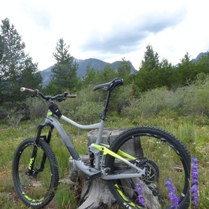2018 Giant Trance 2 Ylw/ L Silver, gray or bare metal