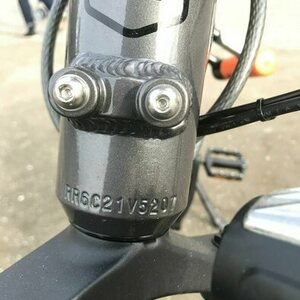 Rad Power Bikes RadRover 6 Silver, gray or bare metal