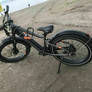 Rad Power Bikes RadRover 6 Silver, gray or bare metal