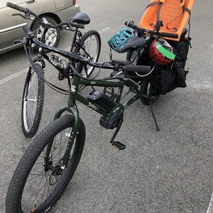 2021 Surly Big Easy S cargo bike (rear storage) Green