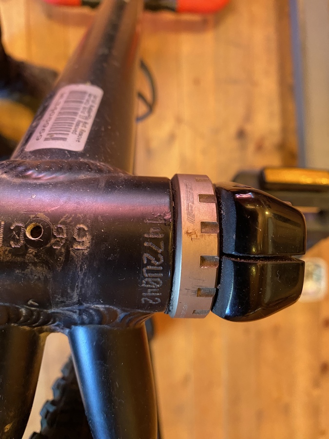 Trek XO 1