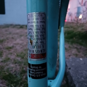 Schwinn Ss Blue