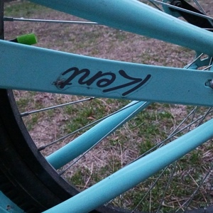Schwinn Ss Blue