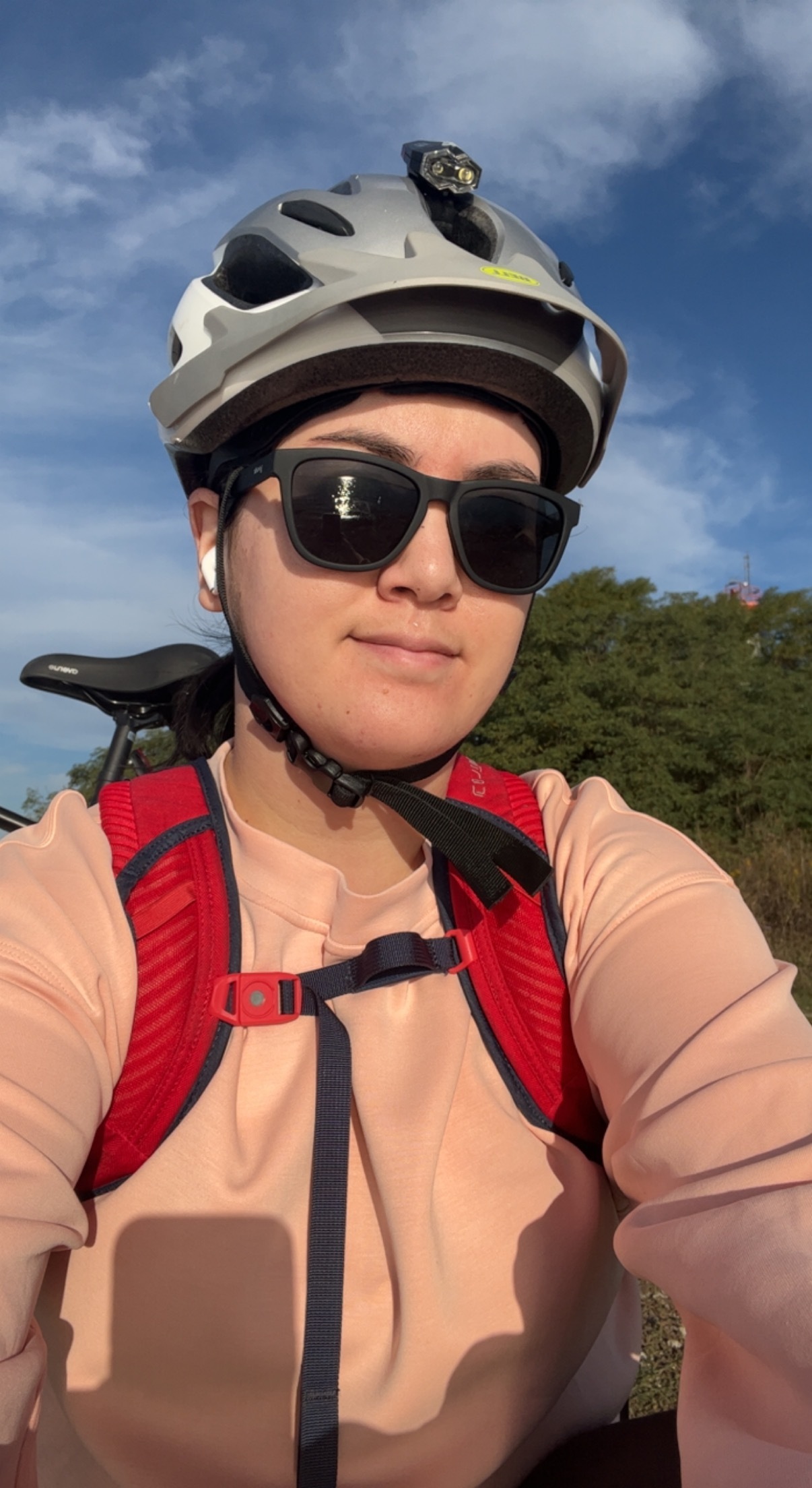 Stolen 2022 Trek FX3