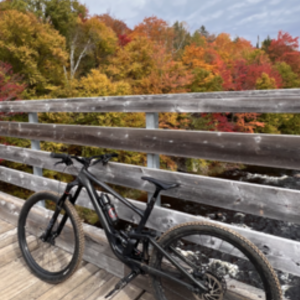 2020 Specialized Enduro Black