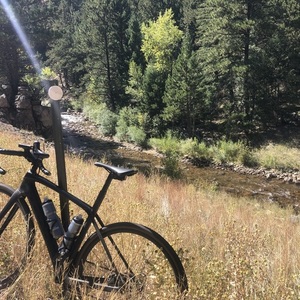 2021 Trek Domane SL5 Black and Black