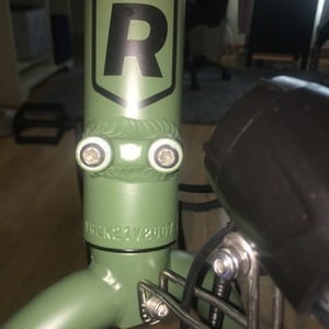 Rad Power Bikes Green