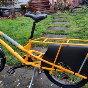 2022 Yuba Kombi Yellow or Gold