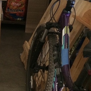 2016 Trek Skye SL Purple