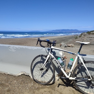2016 Trek Domane 2.3 White