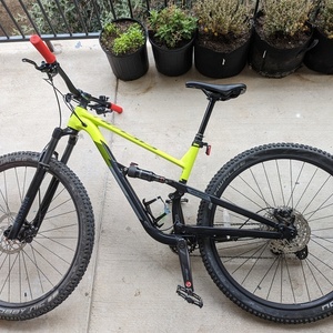 2022 Polygon D7 Yellow or Gold