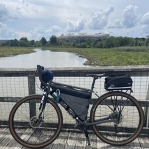 2016 Specialized AWOL Green