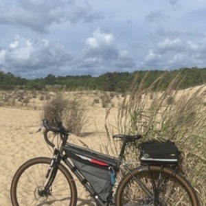 2016 Specialized AWOL Green