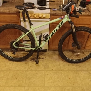 2020 Specialized Rockhopper expert Green