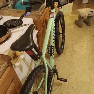 2020 Specialized Rockhopper expert Green