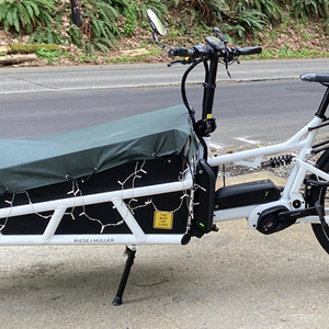 2020 Riese und Müller Load 75 rohloff HS cargo bike (front storage) White