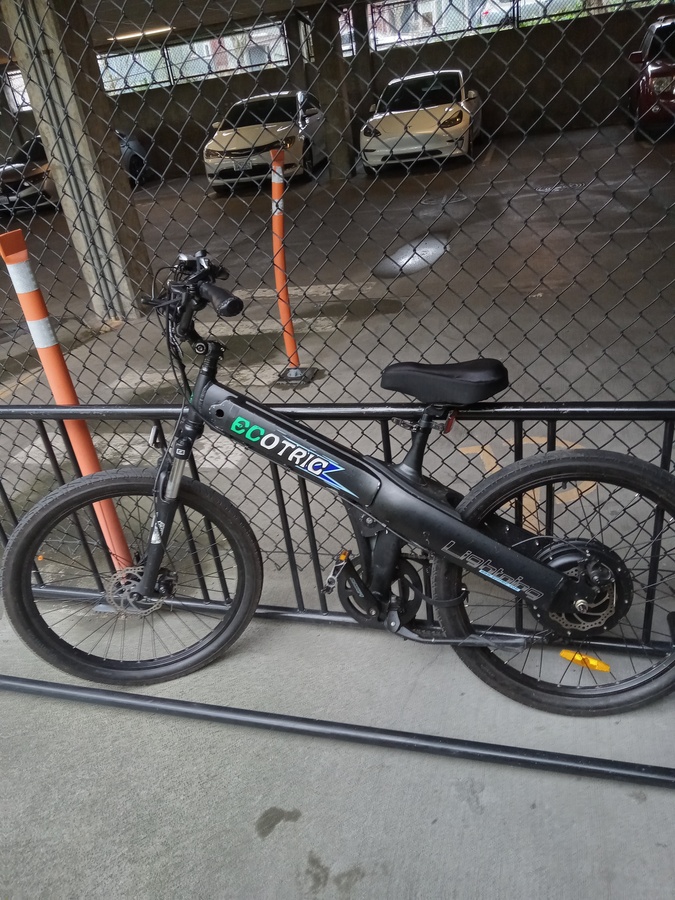 Stolen 2020 ECOTRIC LIGHTNING Electric Bike Ebike ECOTRIC LIGHTNING