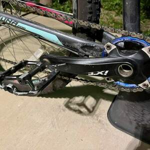 GT Bicycles Laguna Pro Silver, gray or bare metal
