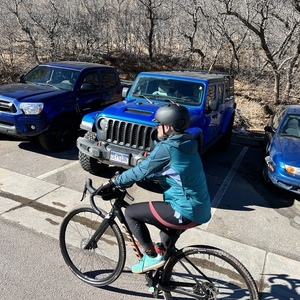 2022 Ibis Ripley AF Silver, gray or bare metal