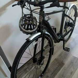 2023 Momentum Voya E+3 Green, Black, and Silver, gray or bare metal