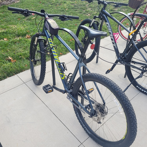 2019 Specialized Pitch Expert Silver, gray or bare metal and Green