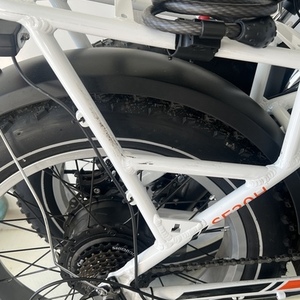 2023 Vtuvia SF20h tall bike White