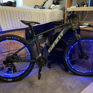 2021 Giant Talon 4 M Trekking Green