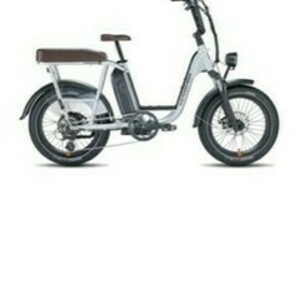 2021 Rad Power Bikes RadRunner Plus Silver, gray or bare metal