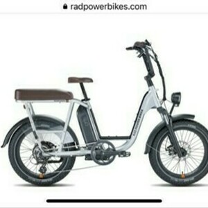 2021 Rad Power Bikes RadRunner Plus Silver, gray or bare metal