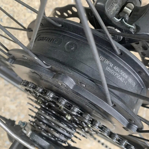 2020 Ride1Up Silver, gray or bare metal