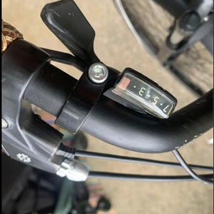 2020 Ride1Up Silver, gray or bare metal