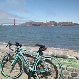 2015 Bianchi Intenso W Teal