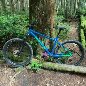 2022 Marin Bikes San Quentin 2 Blue and Green