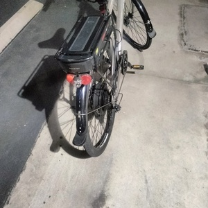 2014 IZIP E3 path+ Brown