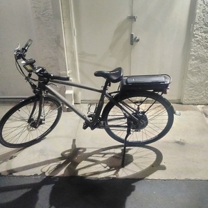 2014 IZIP E3 path+ Brown